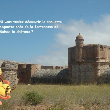 Chouette Coquette Villa Салс-льо-Шато Екстериор снимка